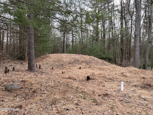 111 Ranger Rd, Greeley, PA 18425 - view of local wilderness