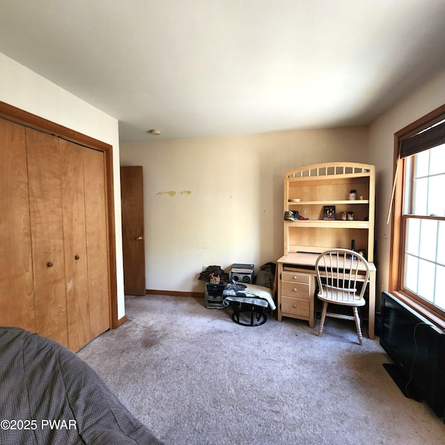 111 Ranger Rd, Greeley, PA 18425 - bedroom with a closet and carpet flooring