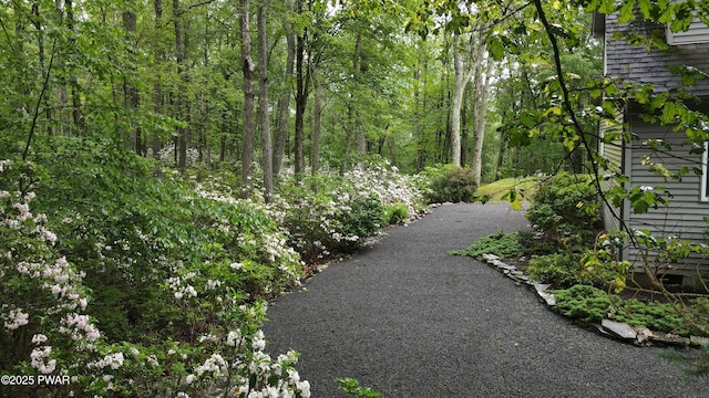 147 Goldrush Dr, Lords Valley, PA 18428 - view of home's community featuring a forest view