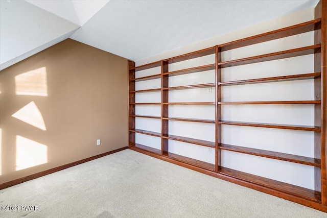 basement featuring light colored carpet