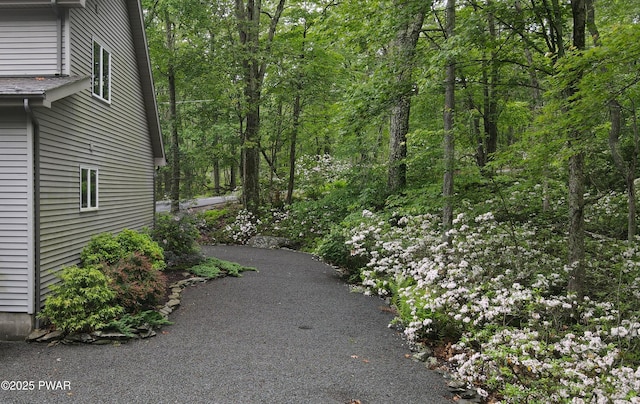 147 Goldrush Dr, Lords Valley, PA 18428 - view of yard with a view of trees