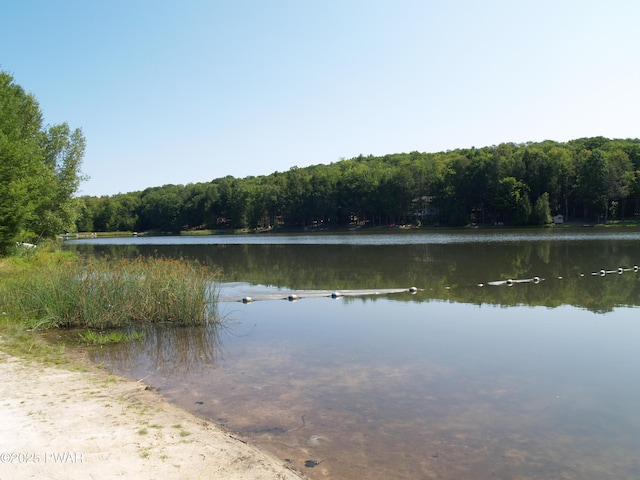 1032 Deer Field Ct, Lake Ariel, PA 18436 - water view with a heavily wooded area