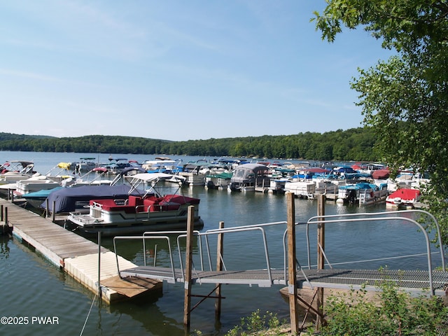 1032 Deer Field Ct, Lake Ariel, PA 18436 - dock area with a water view and a view of trees