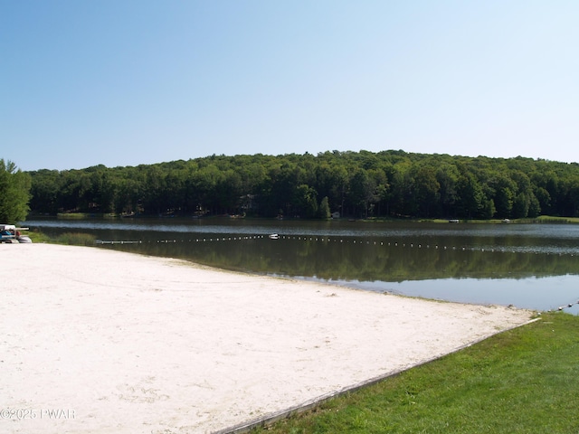 1032 Deer Field Ct, Lake Ariel, PA 18436 - water view with a forest