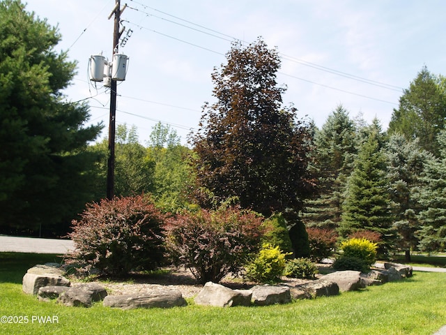 1032 Deer Field Ct, Lake Ariel, PA 18436 - view of yard