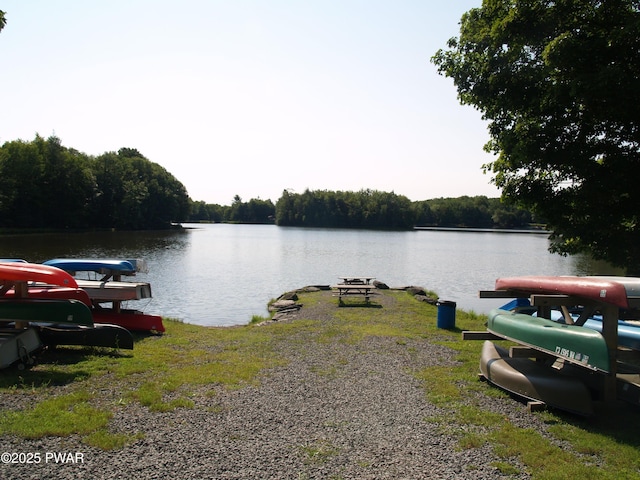 1032 Deer Field Ct, Lake Ariel, PA 18436 - water view featuring a forest