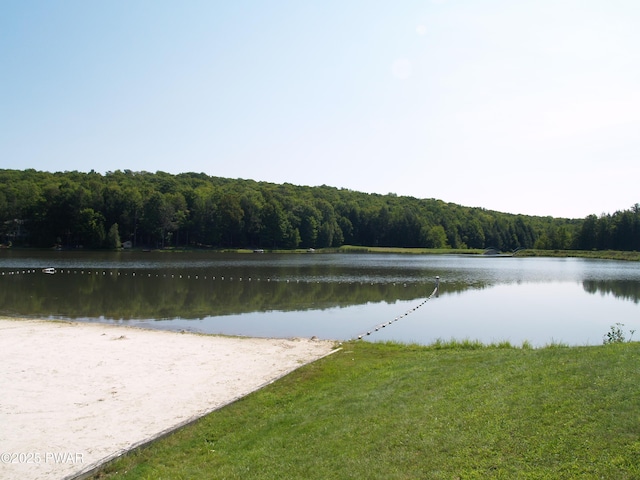 1032 Deer Field Ct, Lake Ariel, PA 18436 - water view with a forest