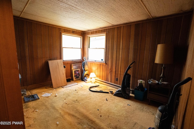 1032 Deer Field Ct, Lake Ariel, PA 18436 - carpeted spare room featuring wood walls