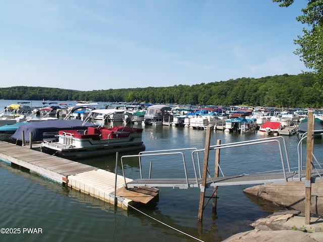 1032 Deer Field Ct, Lake Ariel, PA 18436 - dock area featuring a water view and a forest view