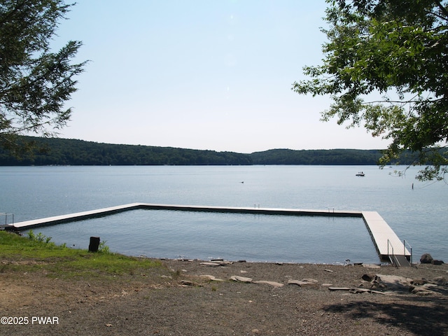1032 Deer Field Ct, Lake Ariel, PA 18436 - dock area featuring a water view