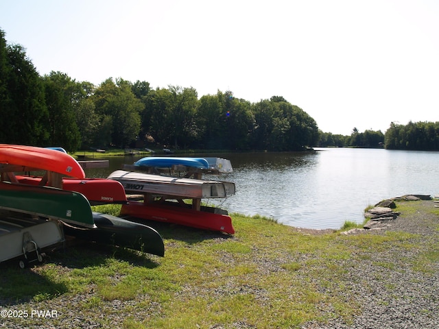 1032 Deer Field Ct, Lake Ariel, PA 18436 - water view with a heavily wooded area
