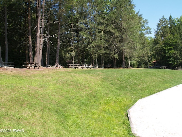1032 Deer Field Ct, Lake Ariel, PA 18436 - view of grassy yard with a wooded view