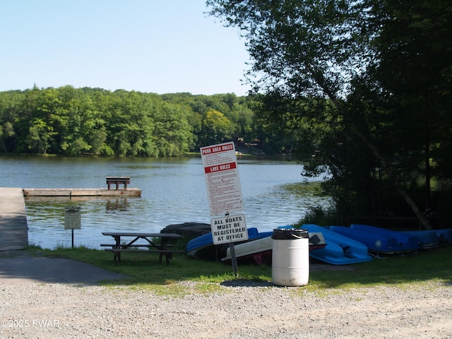 1032 Deer Field Ct, Lake Ariel, PA 18436 - water view with a heavily wooded area and a boat dock