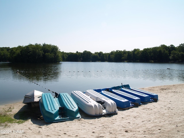 1032 Deer Field Ct, Lake Ariel, PA 18436 - dock area with a water view and a wooded view