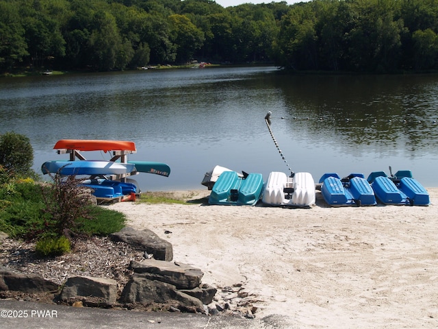 1032 Deer Field Ct, Lake Ariel, PA 18436 - water view with a heavily wooded area