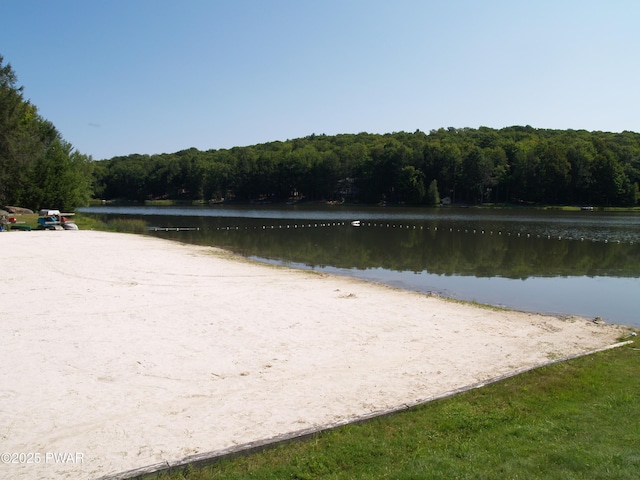1032 Deer Field Ct, Lake Ariel, PA 18436 - view of home's community with a wooded view and a water view