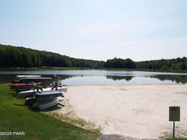 1032 Deer Field Ct, Lake Ariel, PA 18436 - water view with a heavily wooded area