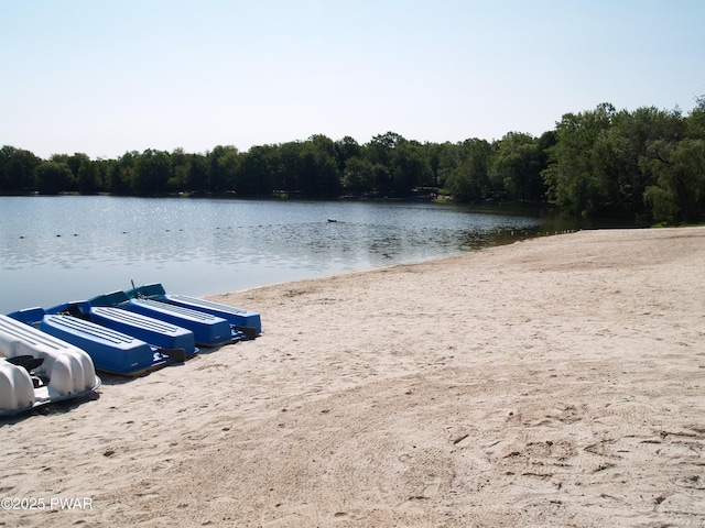 1032 Deer Field Ct, Lake Ariel, PA 18436 - water view featuring a forest