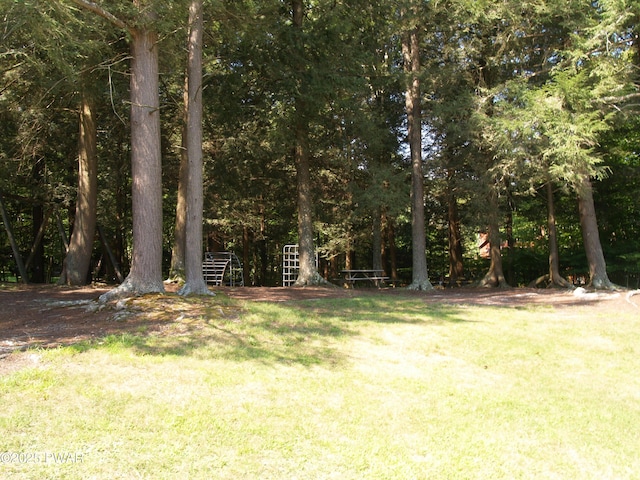 1032 Deer Field Ct, Lake Ariel, PA 18436 - view of green lawn