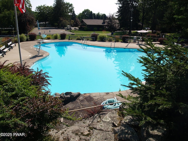 1032 Deer Field Ct, Lake Ariel, PA 18436 - community pool with a patio