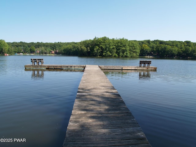 1032 Deer Field Ct, Lake Ariel, PA 18436 - dock with a water view and a forest view