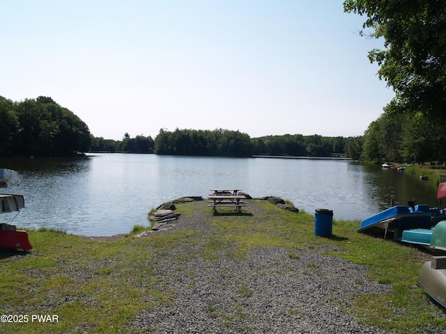 1032 Deer Field Ct, Lake Ariel, PA 18436 - water view with a forest