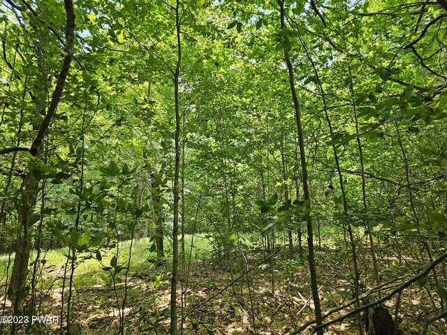 LOT69 Stonegate Rd, Equinunk, PA 18417 - photo 2