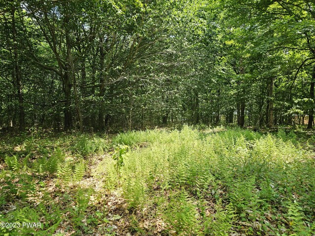 LOT69 Stonegate Rd, Equinunk, PA 18417 - photo 7