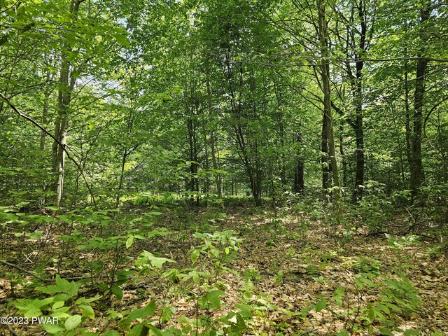 LOT69 Stonegate Rd, Equinunk, PA 18417 - photo 11