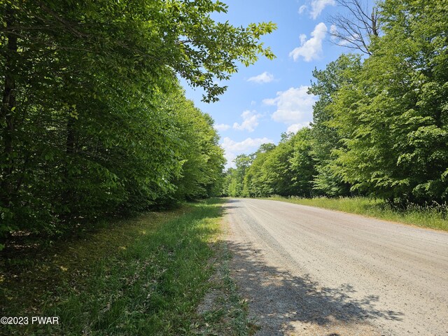 LOT69 Stonegate Rd, Equinunk, PA 18417 - photo 16