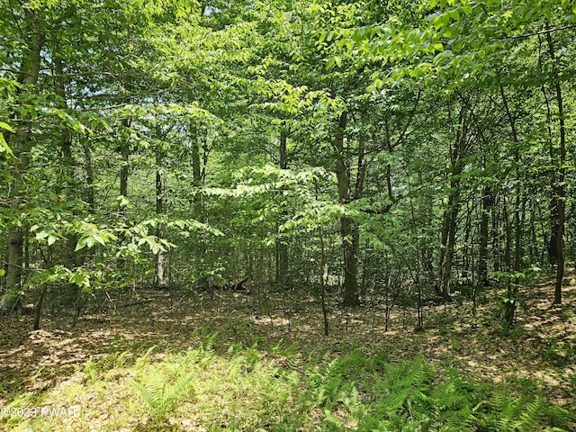 LOT69 Stonegate Rd, Equinunk, PA 18417 - photo 1