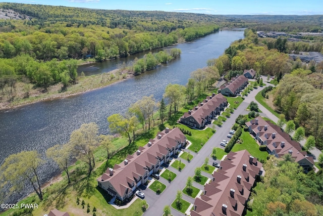 803 Macintosh Way, Matamoras, PA 18336 - bird's eye view with a water view and a view of trees