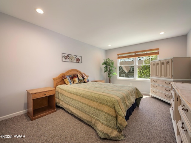803 Macintosh Way, Matamoras, PA 18336 - bedroom with recessed lighting, baseboards, and carpet