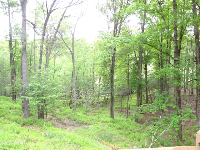 104 Briarwood Dr, Greentown, PA 18426 - photo 31