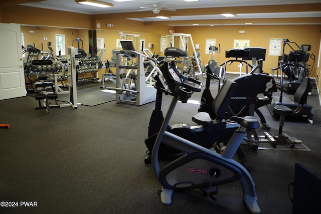 gym featuring ceiling fan