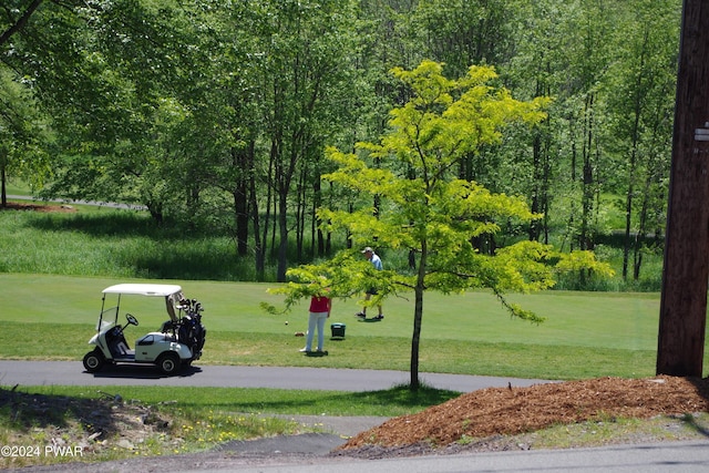 view of property's community with a lawn