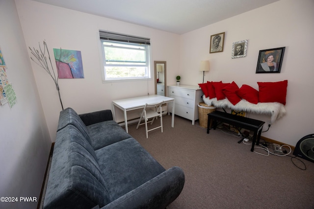 living room featuring dark carpet