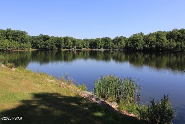 115 Eastwood Dr, Greentown, PA 18426 - water view featuring a heavily wooded area