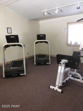 115 Eastwood Dr, Greentown, PA 18426 - workout area with rail lighting and carpet floors