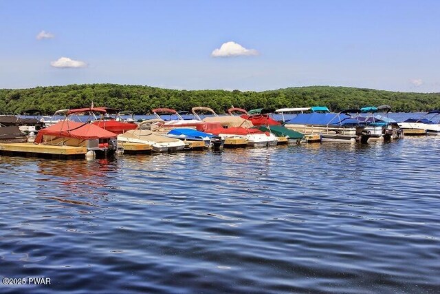 115 Eastwood Dr, Greentown, PA 18426 - dock area featuring a water view and a wooded view