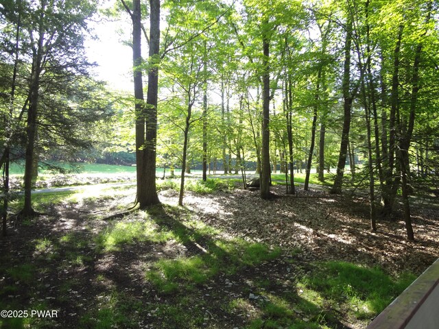 115 Eastwood Dr, Greentown, PA 18426 - view of nature