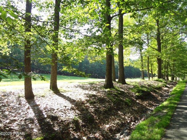 115 Eastwood Dr, Greentown, PA 18426 - view of yard