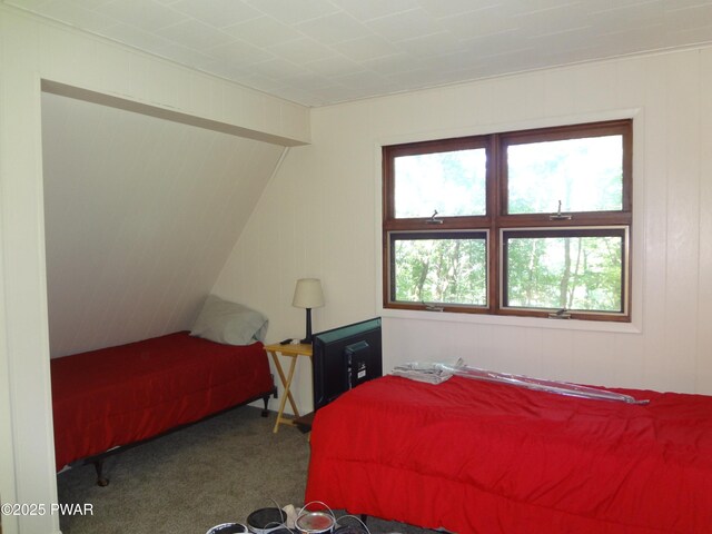 115 Eastwood Dr, Greentown, PA 18426 - view of carpeted bedroom