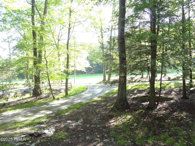 115 Eastwood Dr, Greentown, PA 18426 - view of street