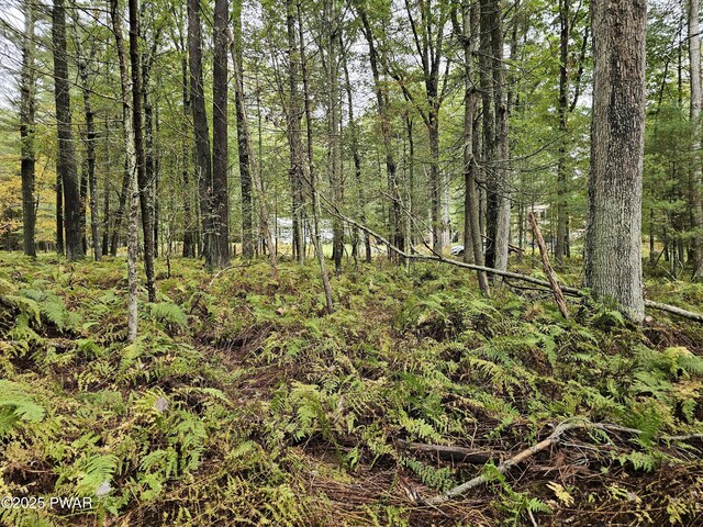 LOT99 Fawn Lake Dr, Hawley, PA 18428