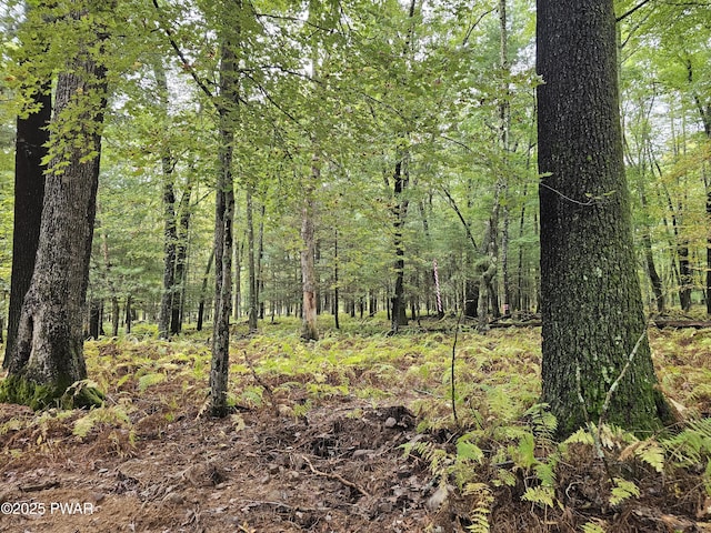 LOT99 Fawn Lake Dr, Hawley, PA 18428
