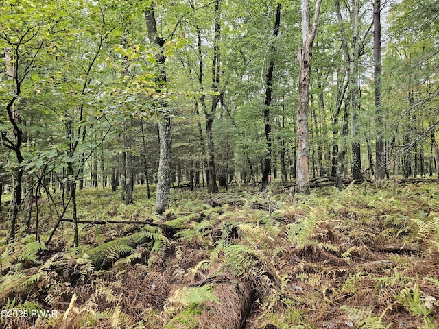 LOT99 Fawn Lake Dr, Hawley, PA 18428