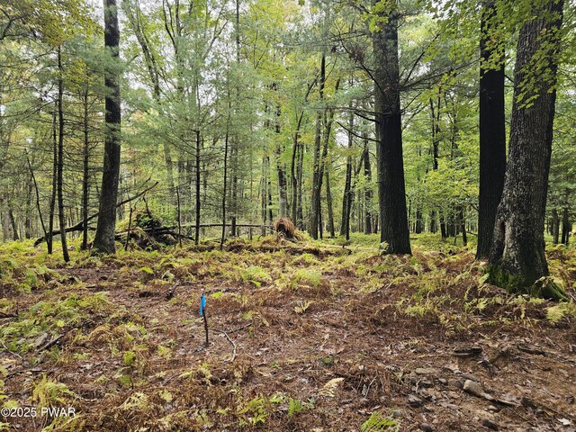 LOT99 Fawn Lake Dr, Hawley, PA 18428