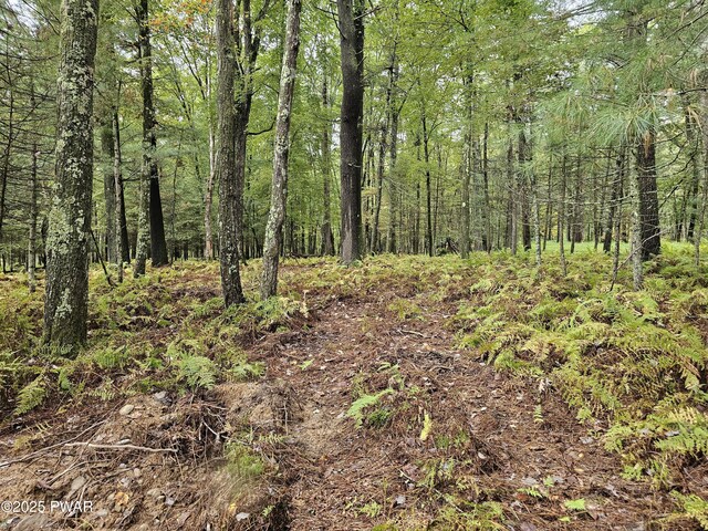 LOT99 Fawn Lake Dr, Hawley, PA 18428