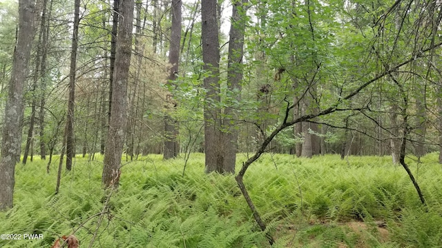 LOT99 Fawn Lake Dr, Hawley, PA 18428